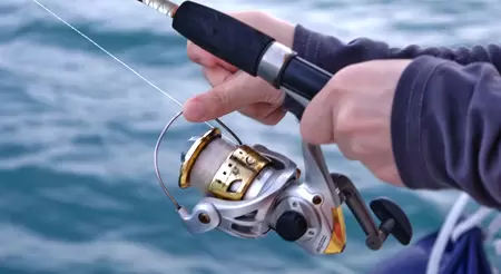 Perlengkapan Luar Ruangan: Tenda, peralatan berkemah, aksesori hiking, dan peralatan bertahan hidup.